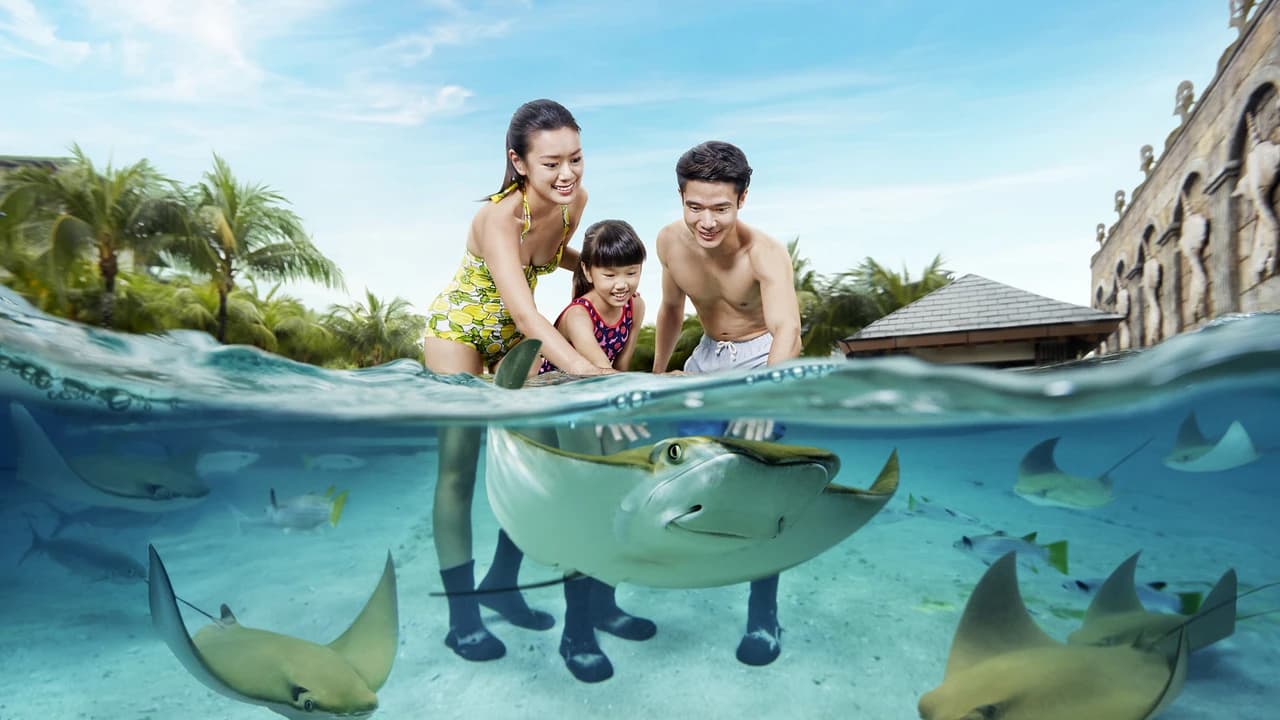 COMBO: Adventure Cove Waterpark + Gardens by the Bay Ticket - Photo 2