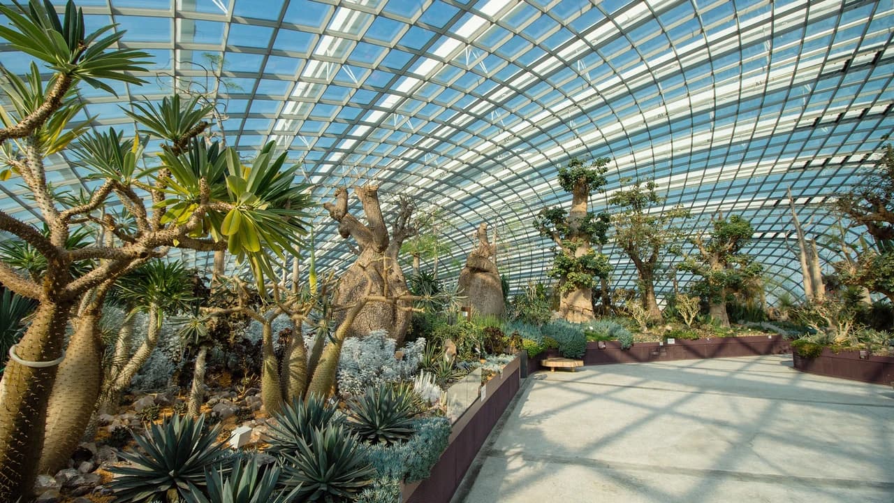 COMBO: Adventure Cove Waterpark + Gardens by the Bay Ticket - image 8