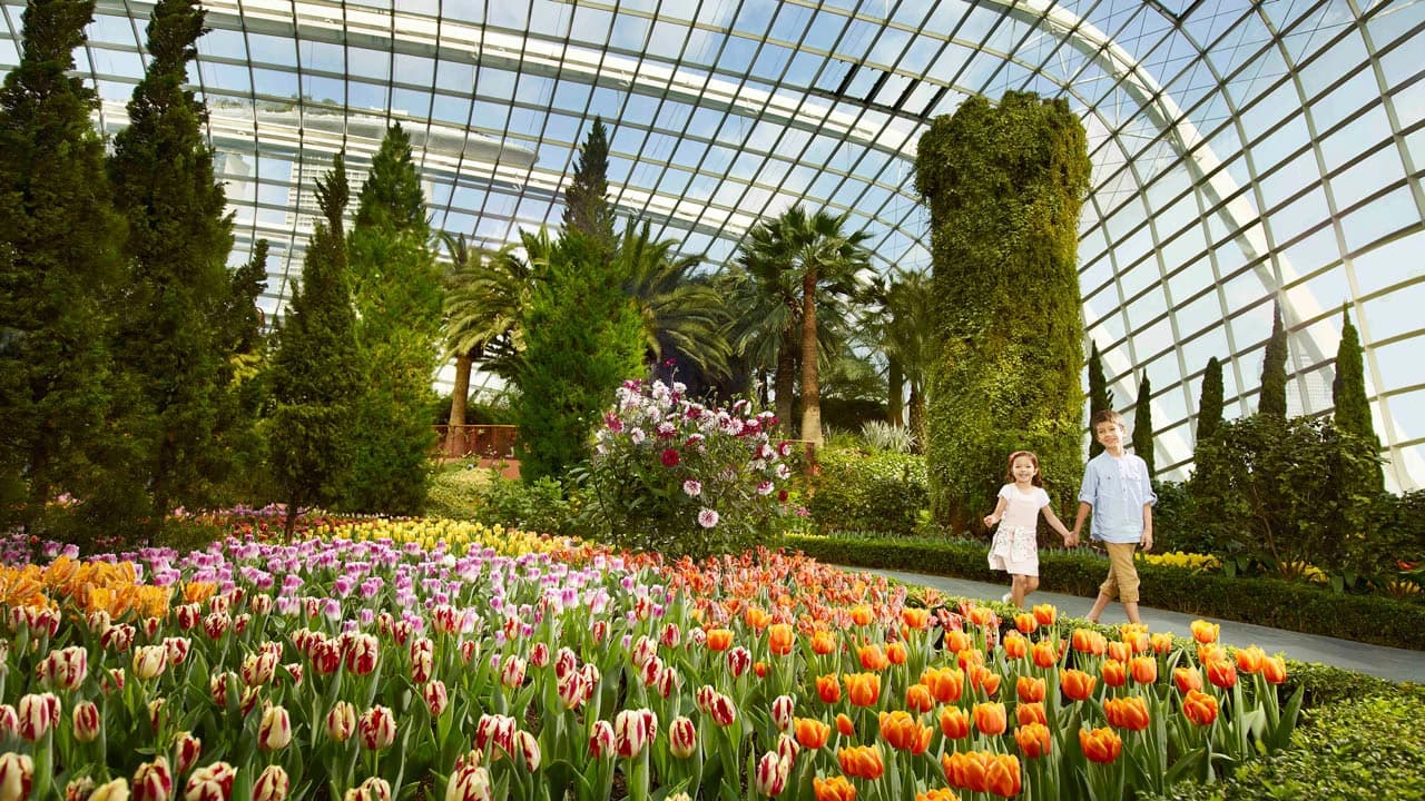 COMBO: Gardens by the Bay + Marina Bay Sands SkyPark Observation Deck + ArtScience Museum Tickets - Photo 4