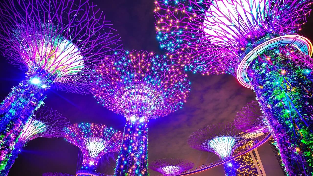 COMBO: Gardens by the Bay + Marina Bay Sands SkyPark Observation Deck + ArtScience Museum Tickets - Photo 5