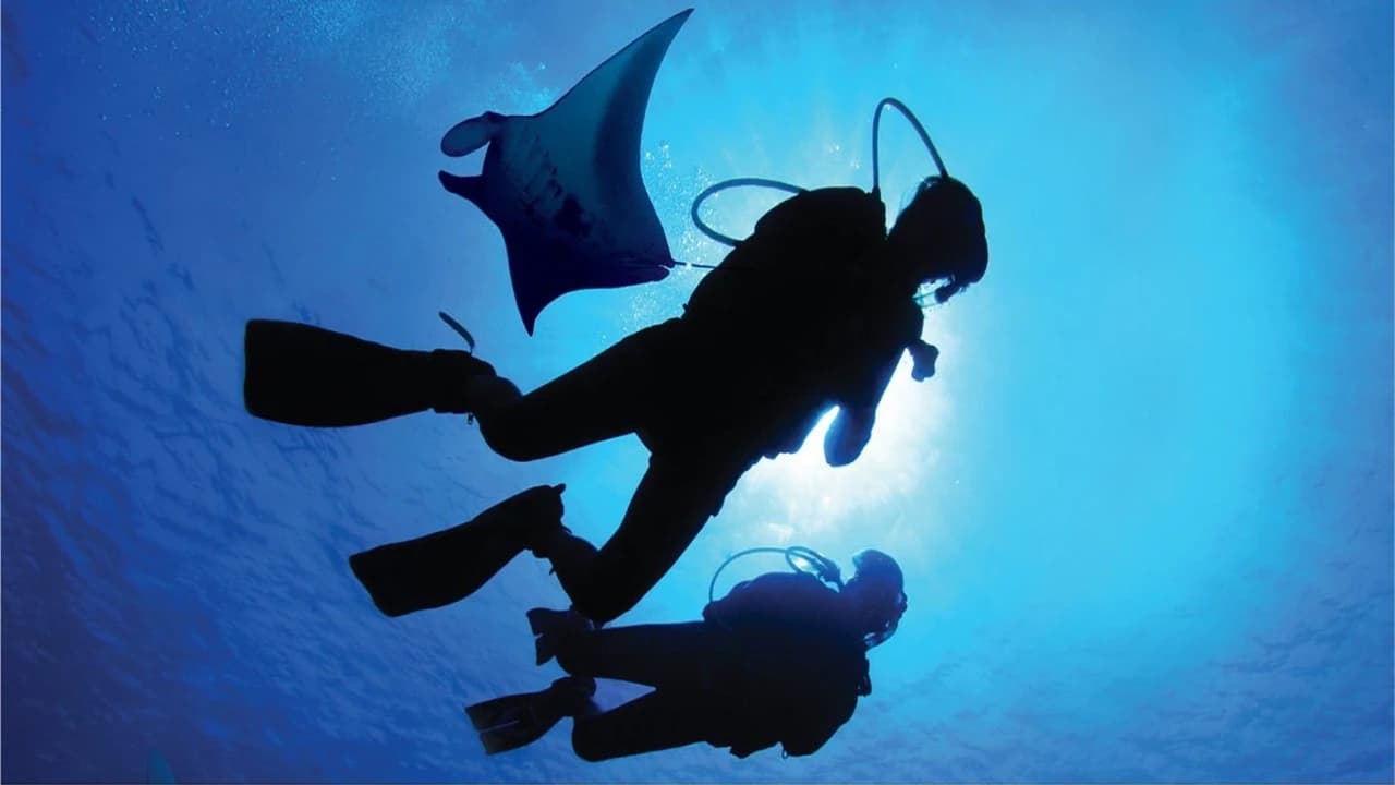 Ultimate Marine Life Experience at Adventure Cove Waterpark - Photo 4