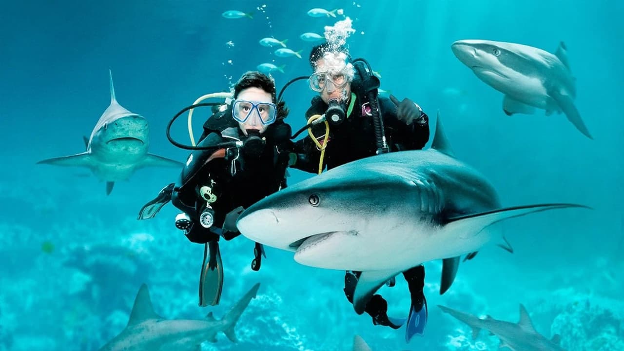 Ultimate Marine Life Experience at Adventure Cove Waterpark - Photo 5