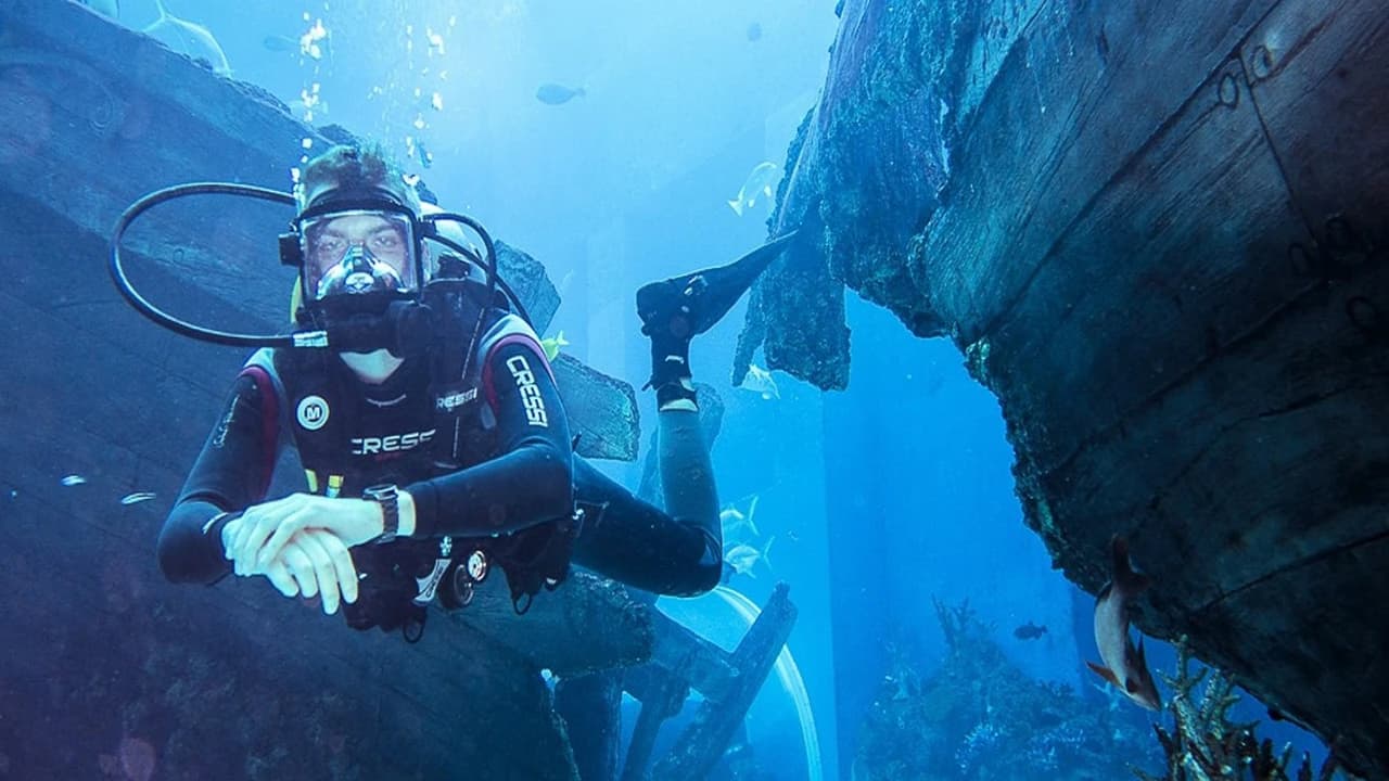 Ultimate Marine Life Experience at Adventure Cove Waterpark - image 7