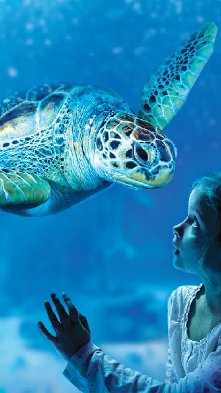 SEA LIFE Benalmádena Ticket