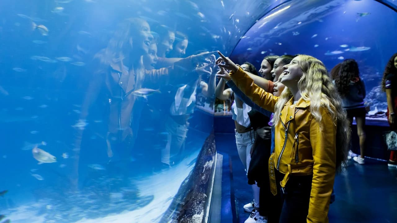 Atlantis Aquarium Madrid Ticket