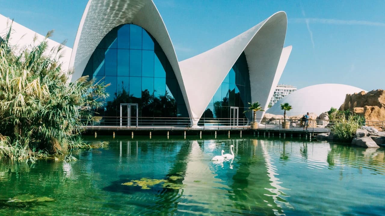 Oceanogràfic de Valencia Ticket