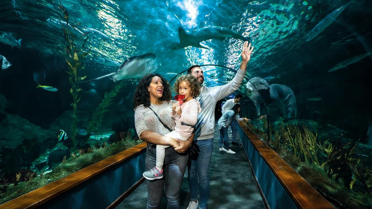 Loro Parque Ticket