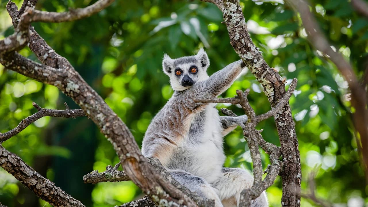 Faunia Nature Park Ticket