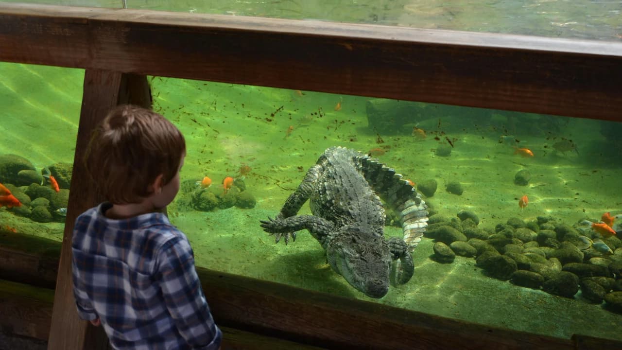 Terra Natura Benidorm: Entry Ticket - Photo 4