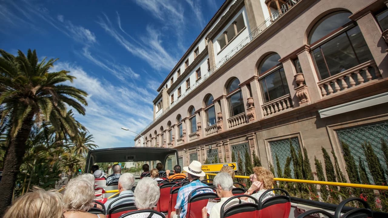 City Sightseeing Santa Cruz de Tenerife Hop-on Hop-off Bus Tour