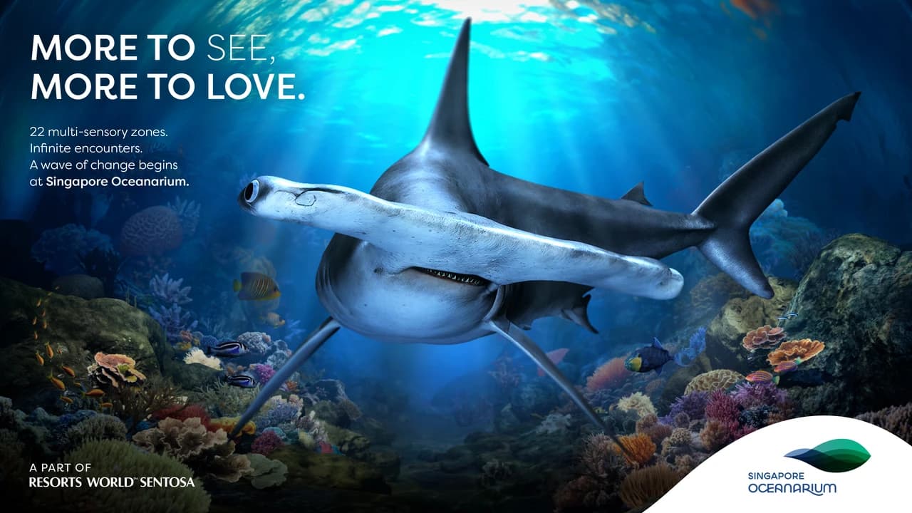 COMBO: Universal Studios Singapore + Singapore Oceanarium + Adventure Cove Waterpark Tickets - image 7