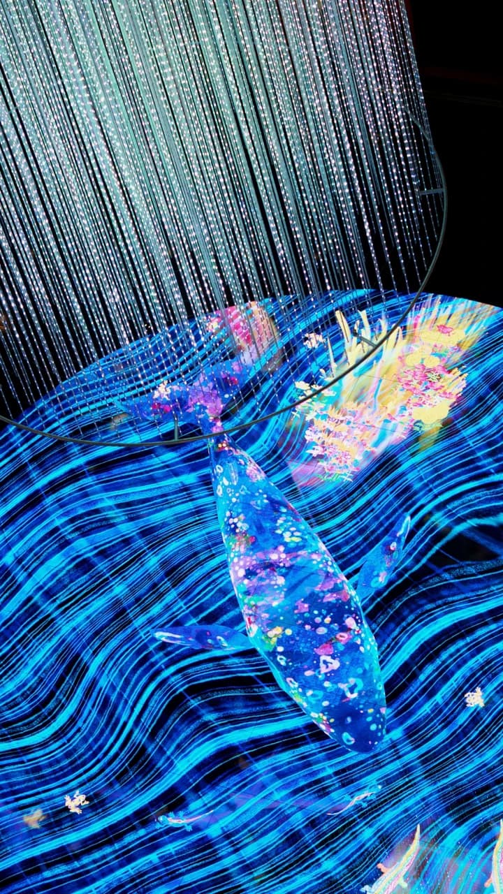 Digital Light Canvas by teamlab Ticket