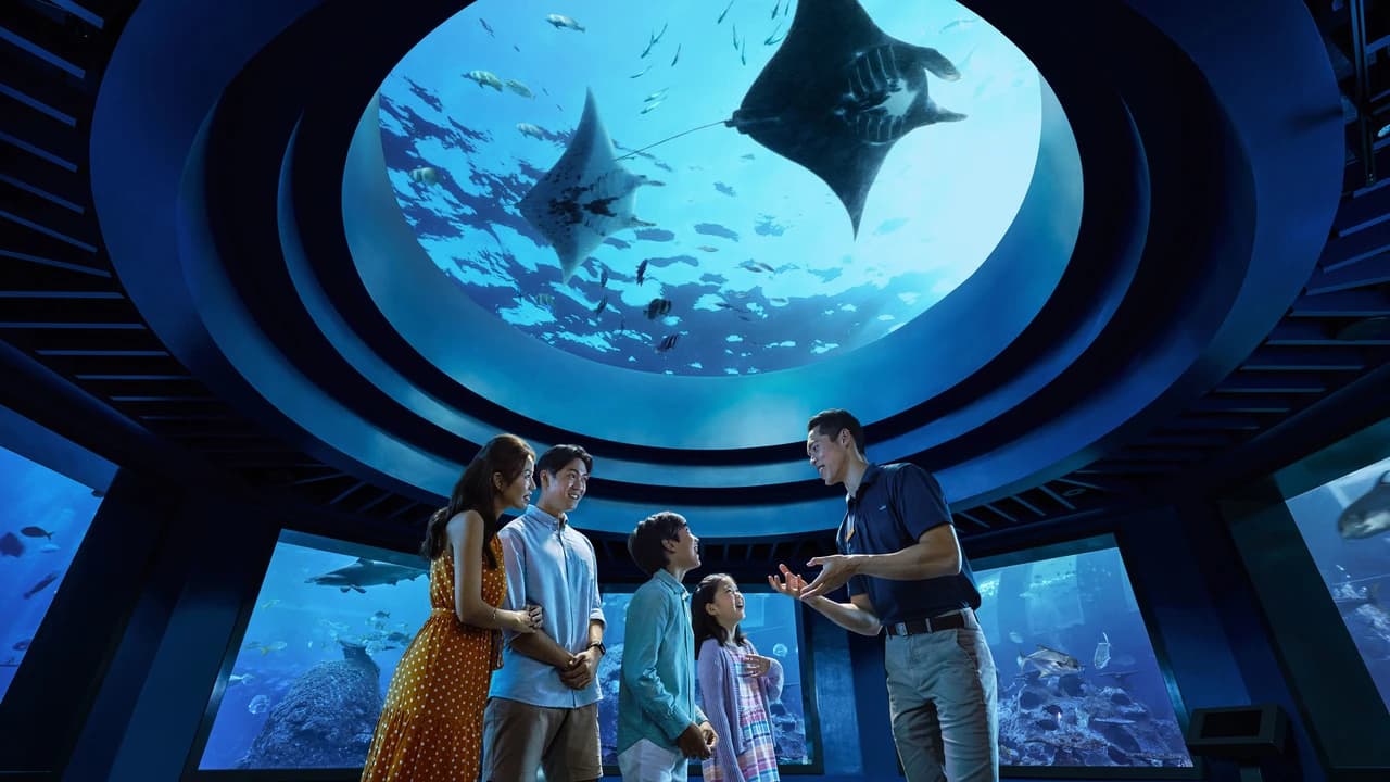 COMBO: Singapore Oceanarium + Albatross Hop-On Hop-Off Speedboat Tickets