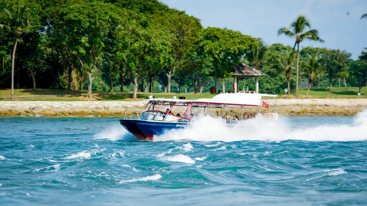 COMBO: Singapore Oceanarium + Albatross Hop-On Hop-Off Speedboat Tickets - image 7