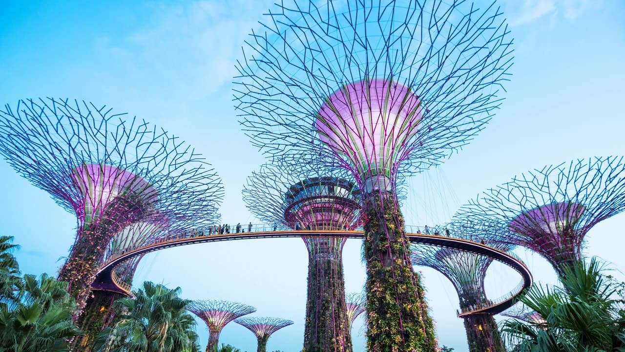 Go City Singapore All-Inclusive Pass: Save up to 50% on Attractions - Photo 4