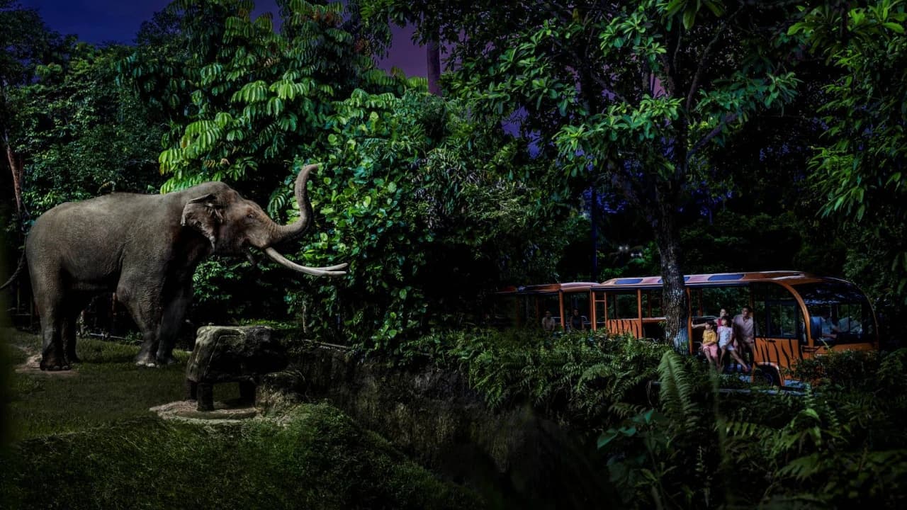 PROMO: Gardens by the Bay Autumn Escape Bundles (Save up to 30%) - image 7
