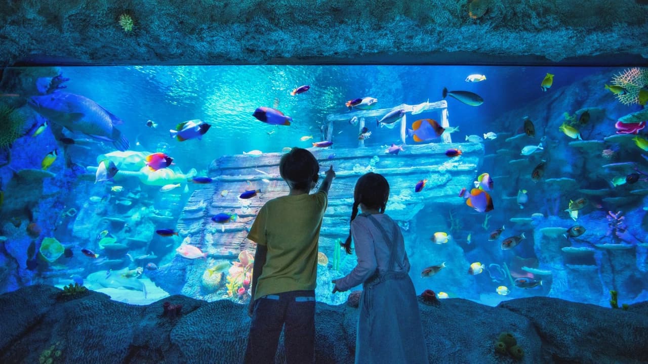 Go City Singapore Explorer Pass: Save up to 50% on Attractions - Photo 2