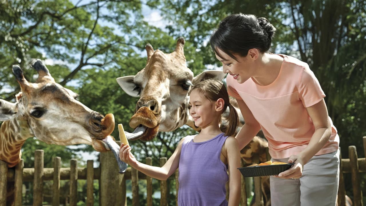 Go City Singapore Explorer Pass: Save up to 50% on Attractions - Photo 3