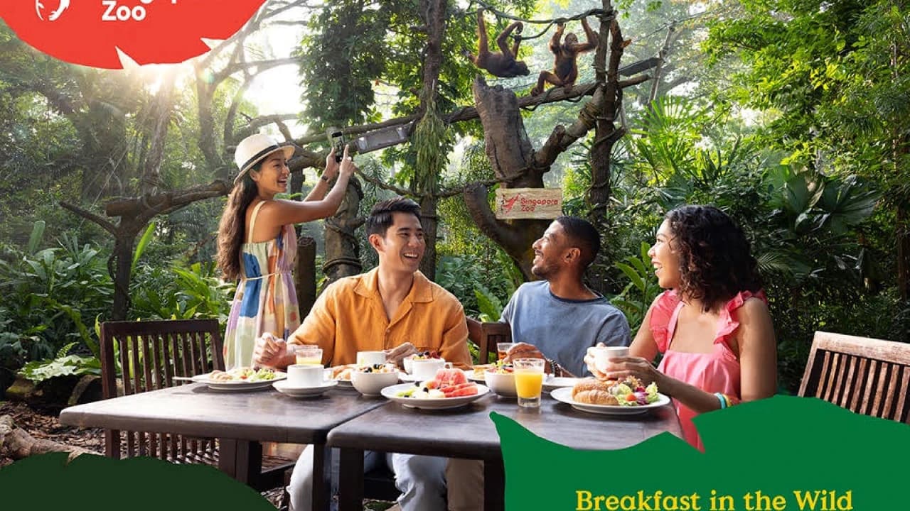 COMBO: Singapore Zoo + Breakfast in the Wild