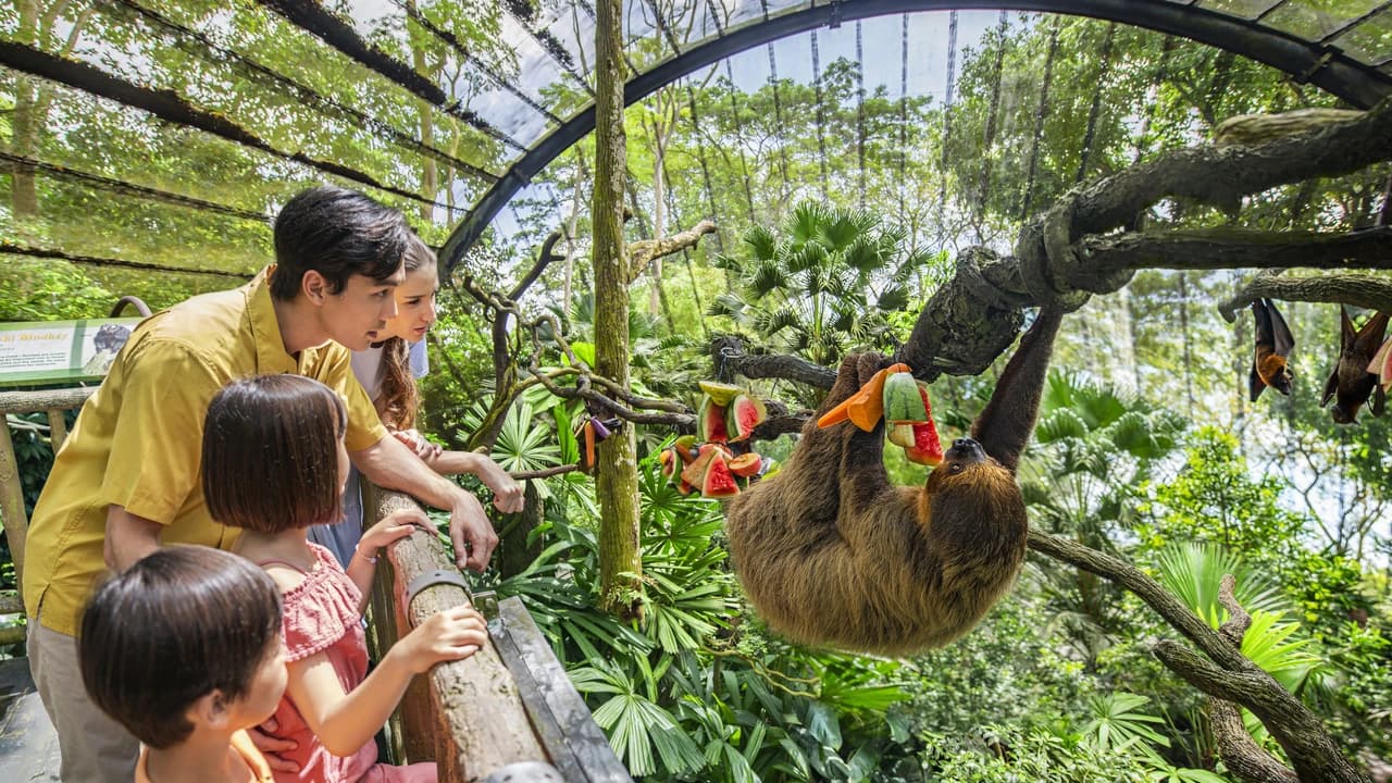 COMBO: Singapore Zoo + Breakfast in the Wild - Photo 2