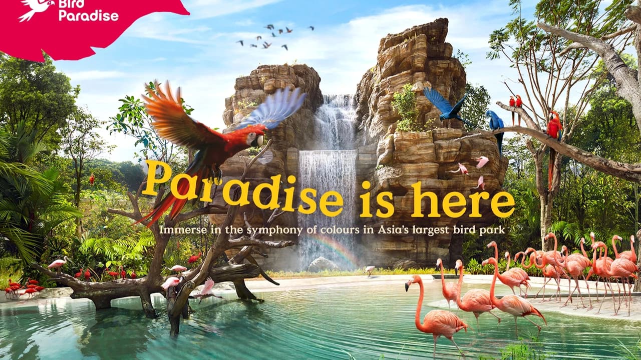 COMBO: River Wonders + Bird Paradise Ticket - Photo 4