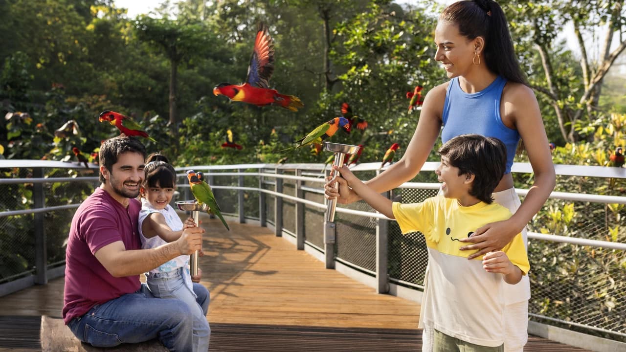 COMBO: River Wonders + Bird Paradise Ticket - image 8