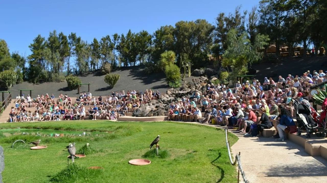 Rancho Texas Lanzarote Park Ticket - image 7