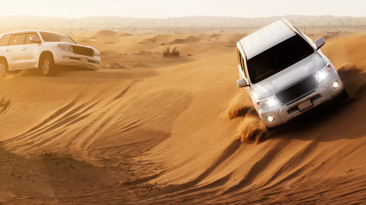 Morning Desert Safari Dubai  - Photo 2