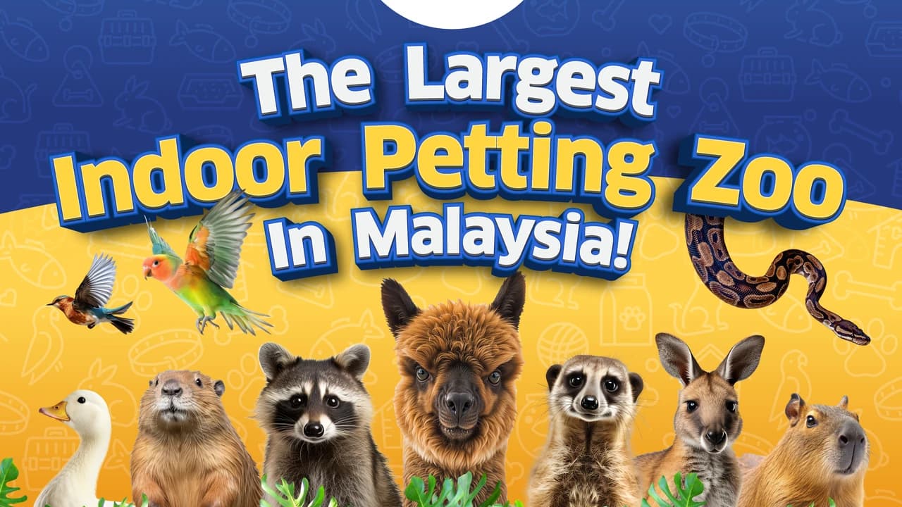 Just Farm Indoor Zoo Kuala Lumpur  (Previously Known As Just Pets Megastore)