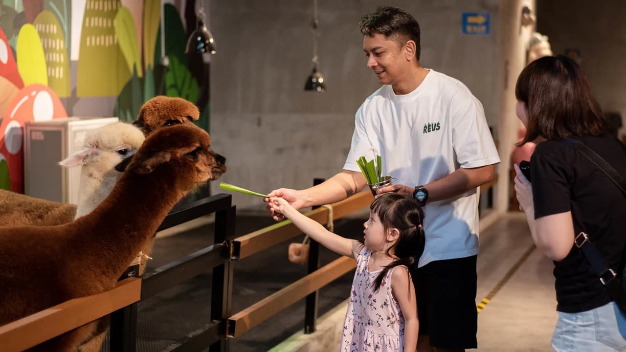 Just Farm Indoor Zoo Kuala Lumpur  (Previously Known As Just Pets Megastore) - Photo 4