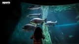COMBO: Aquaria KLCC + Berjaya Times Square Theme Park Tickets - image 8