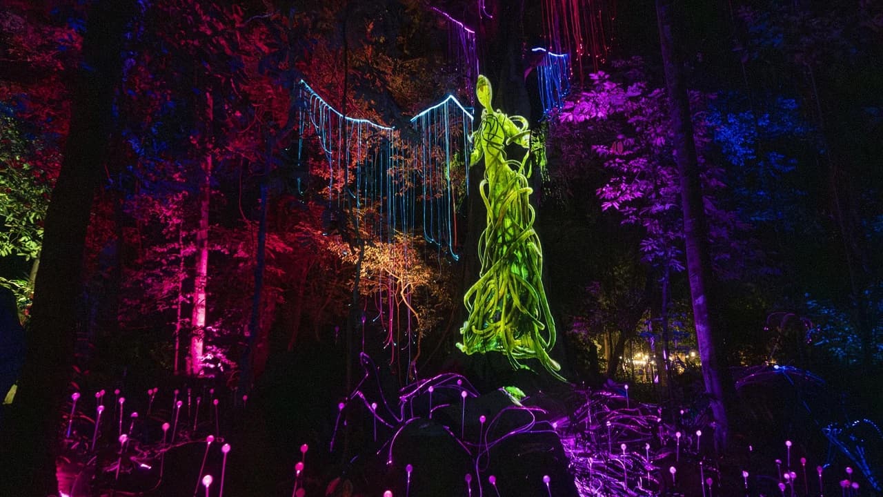 Dream Forest Langkawi