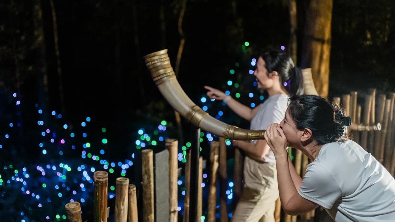 Dream Forest Langkawi - image 6
