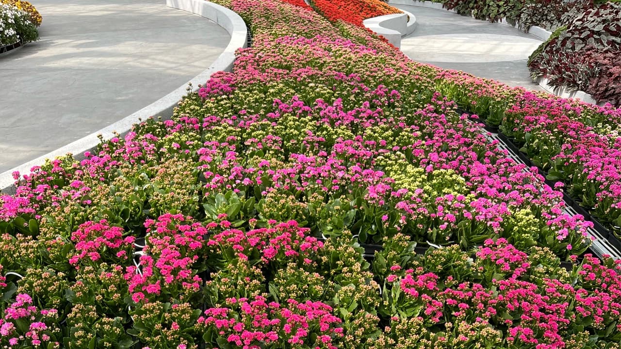 Eufloria Gardens & Sculpture Park in Genting Ticket - Photo 5