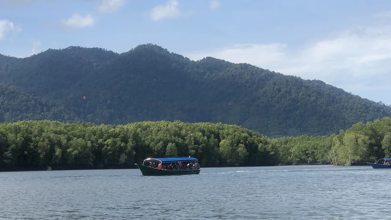 Langkawi UNESCO Global Geopark Mangrove Cruise