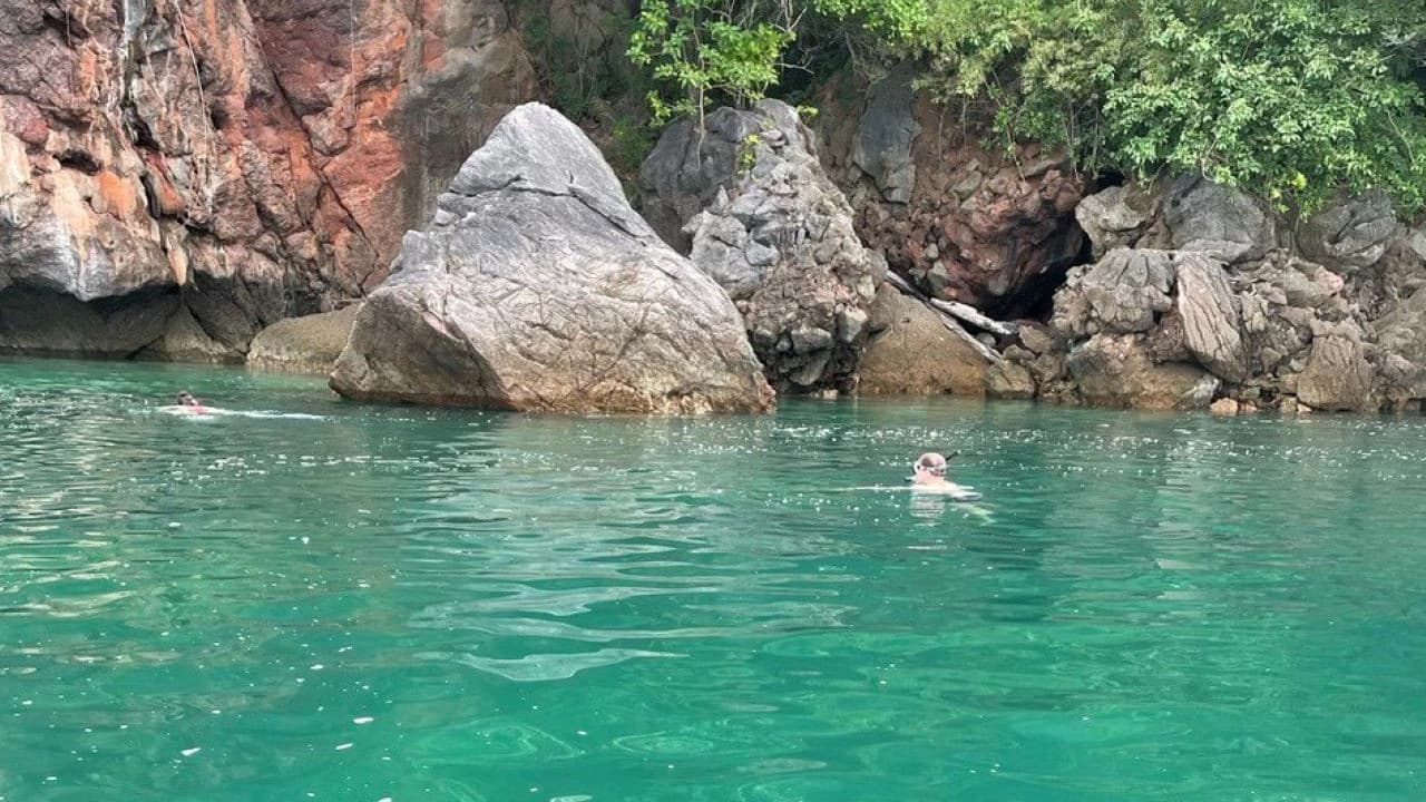 Langkawi Mangrove River Cruise and Snorkeling - image 6
