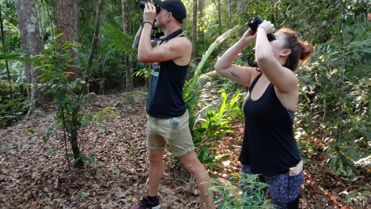 Langkawi Birdwatching Experience Tour - Half Day - Photo 4