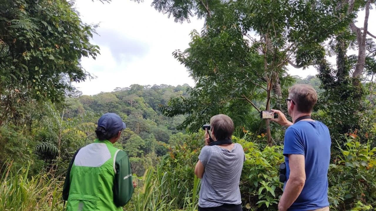 Langkawi Birdwatching Experience Tour - Half Day - Photo 5