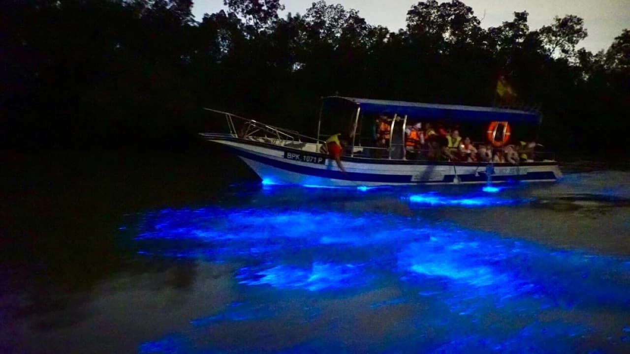 Blue Tears Boat Cruise in Kuala Selangor