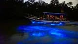 Blue Tears Boat Cruise in Kuala Selangor - image 8