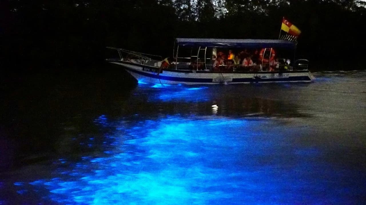 Blue Tears Boat Cruise in Kuala Selangor - Photo 2