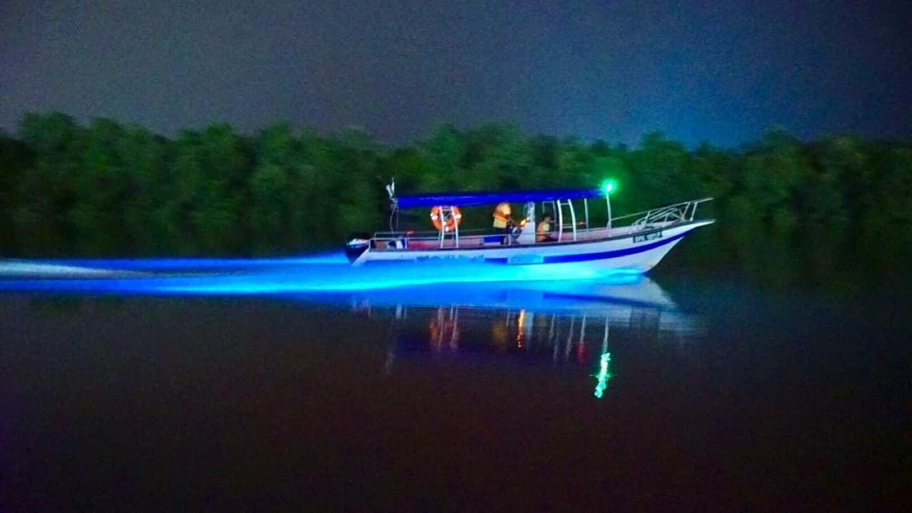 Blue Tears Boat Cruise in Kuala Selangor - Photo 5