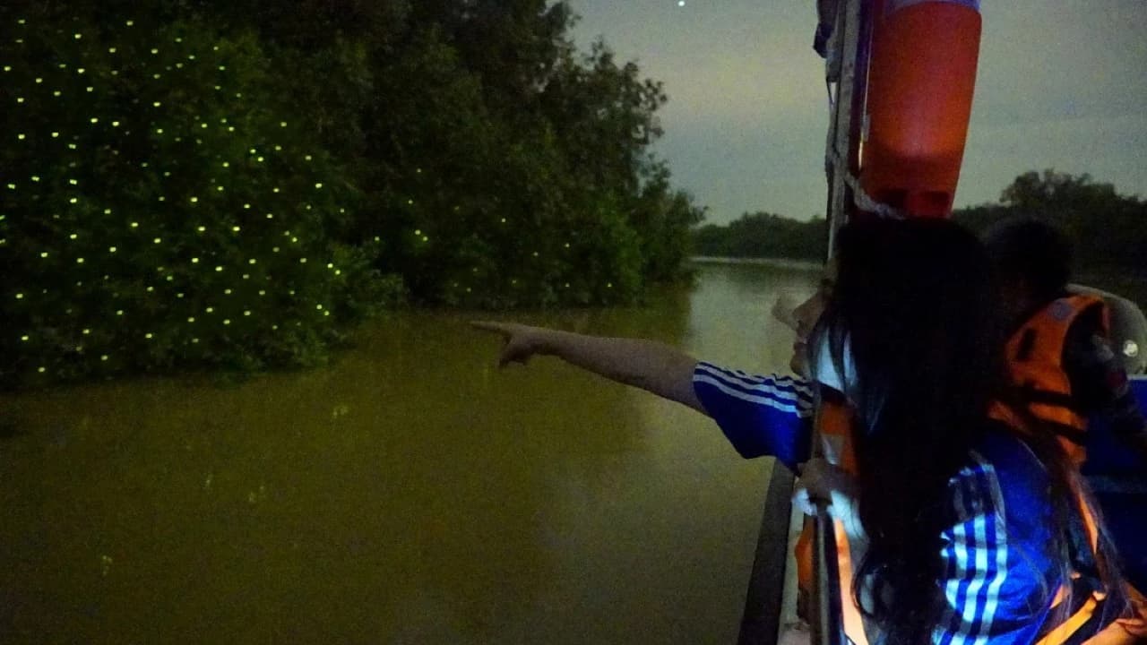 Fireflies Boat Cruise in Kuala Selangor - Photo 2