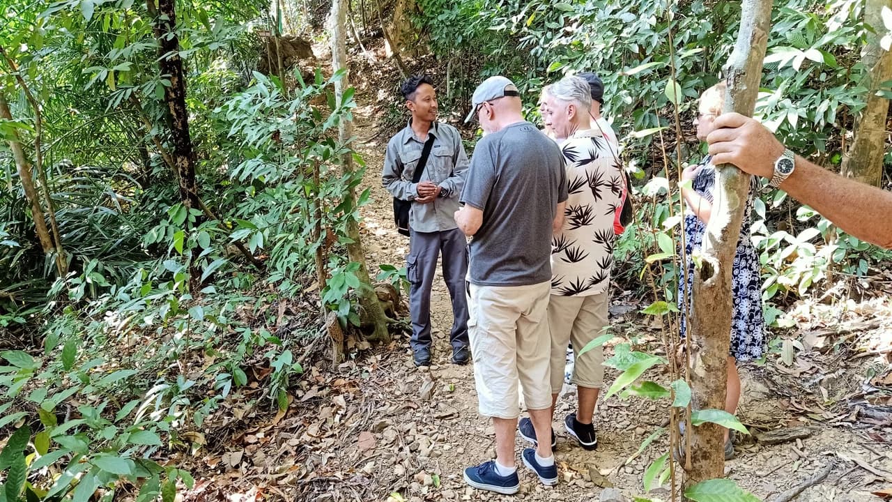 Langkawi Morning Rainforest Walking Tour