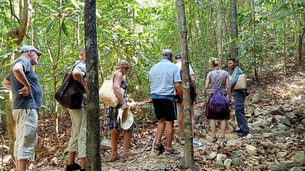 Langkawi Morning Rainforest Walking Tour - Photo 2