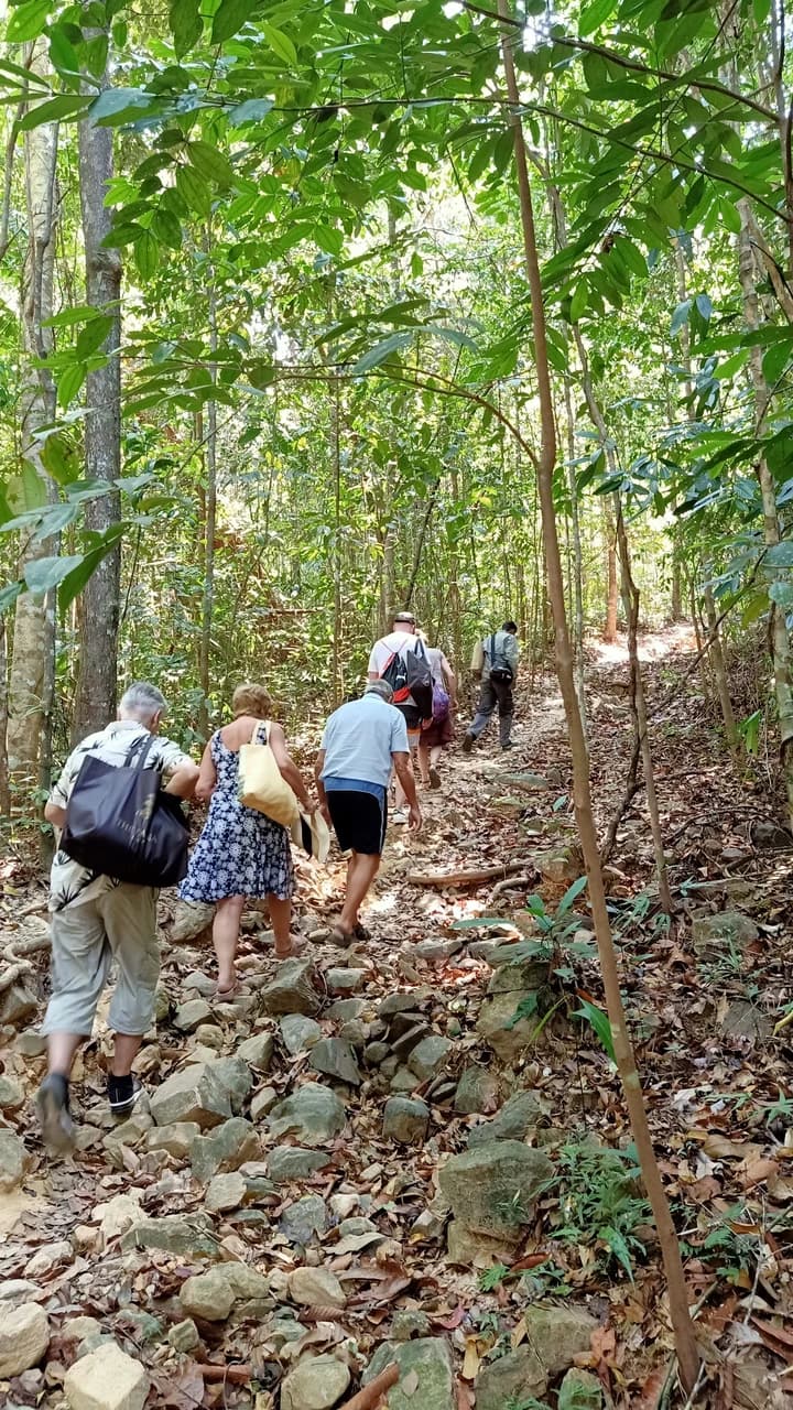 Langkawi Morning Rainforest Walking Tour - image 7