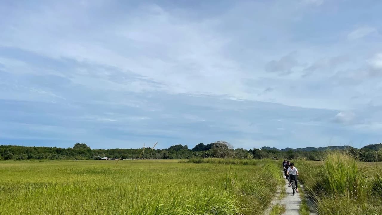 Langkawi Countryside Biking Tour - Photo 2