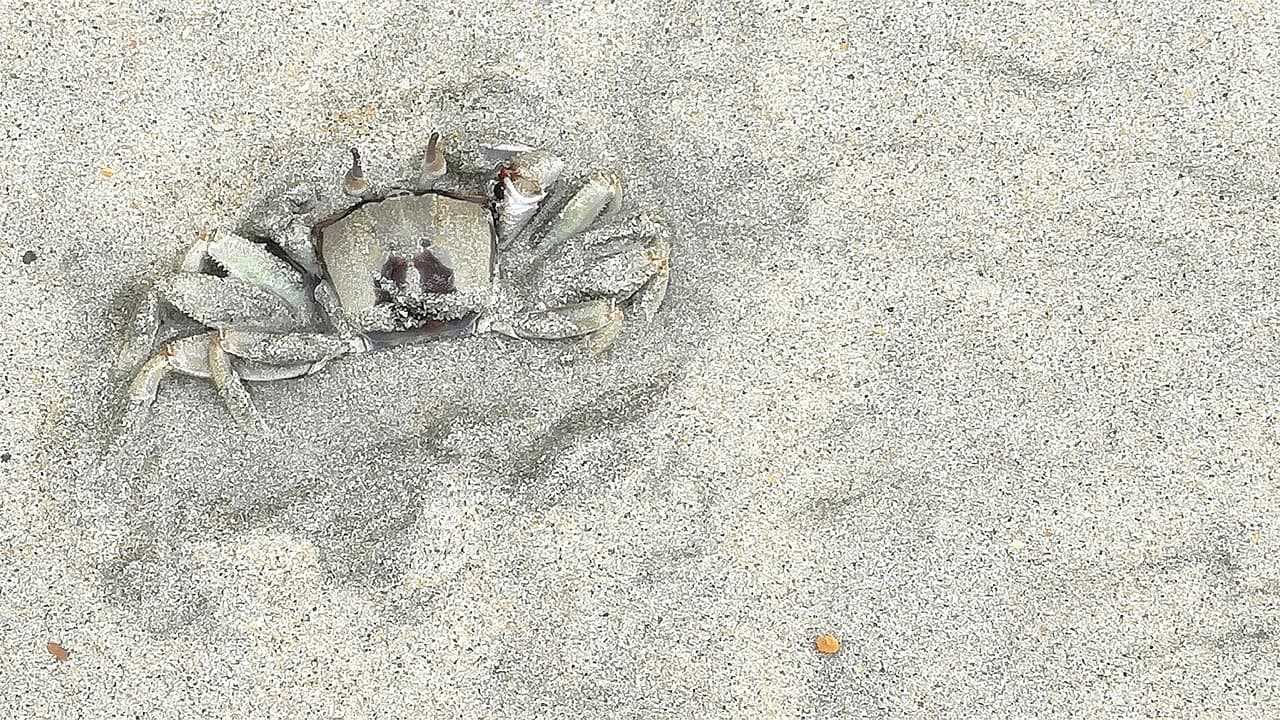 Desaru Beach and Tide Pool Walk - Photo 3