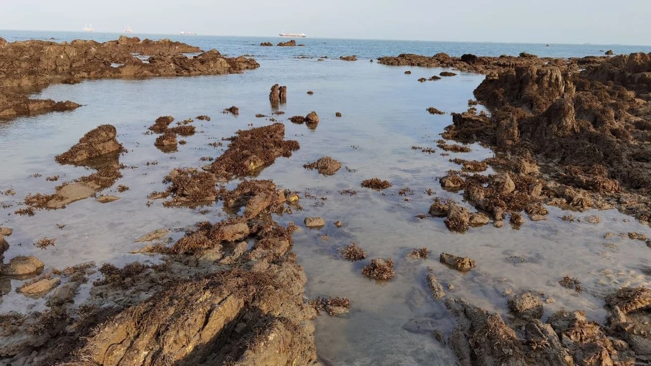 Desaru Beach and Tide Pool Walk - Photo 4