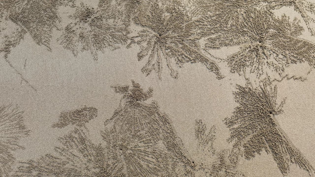 Desaru Beach and Tide Pool Walk - image 7